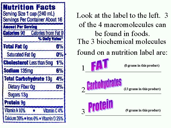 Look at the label to the left. 3 of the 4 macromolecules can be