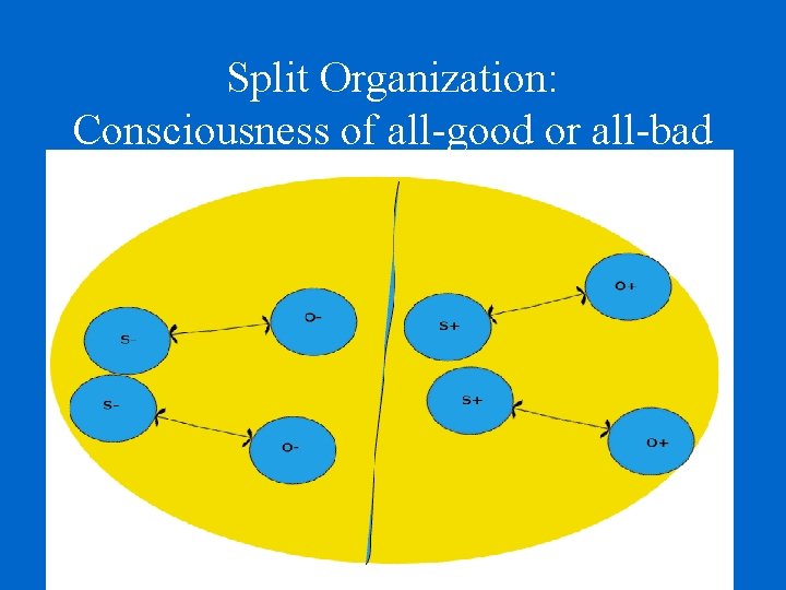 Split Organization: Consciousness of all-good or all-bad 
