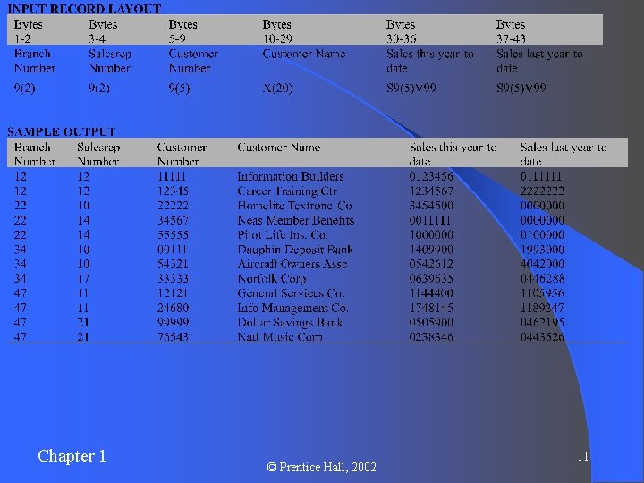 Chapter 1 © Prentice Hall, 2002 11 