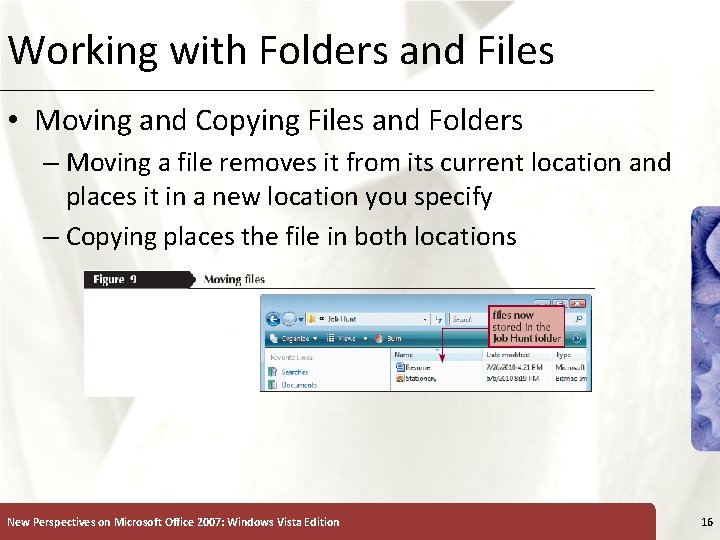 Working with Folders and Files XP • Moving and Copying Files and Folders –