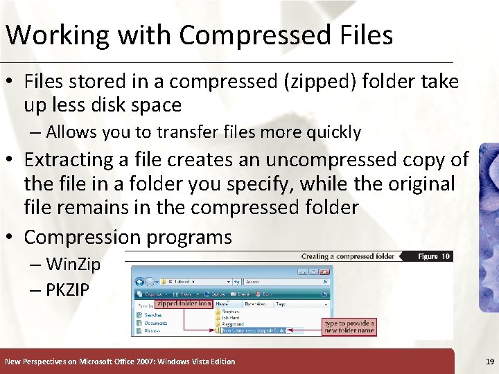Working with Compressed Files XP • Files stored in a compressed (zipped) folder take