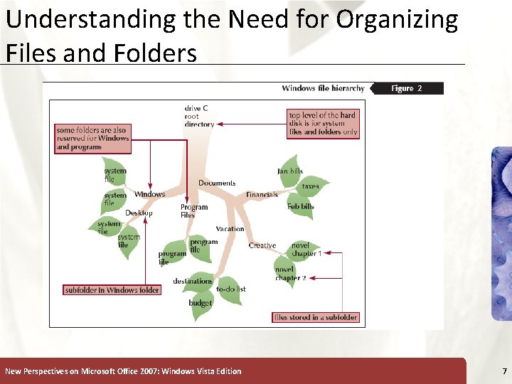 Understanding the Need for Organizing XP Files and Folders New Perspectives on Microsoft Office