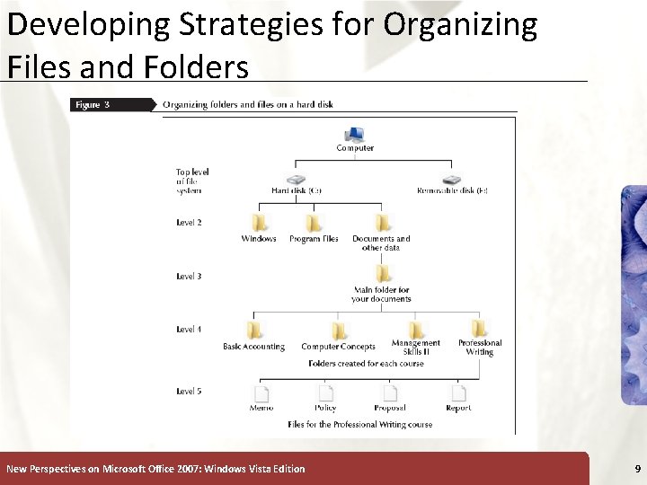 Developing Strategies for Organizing Files and Folders New Perspectives on Microsoft Office 2007: Windows