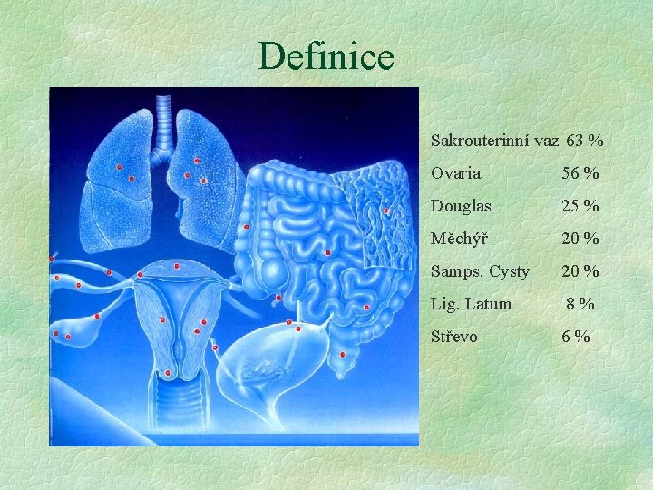 Definice Sakrouterinní vaz 63 % Ovaria 56 % Douglas 25 % Měchýř 20 %