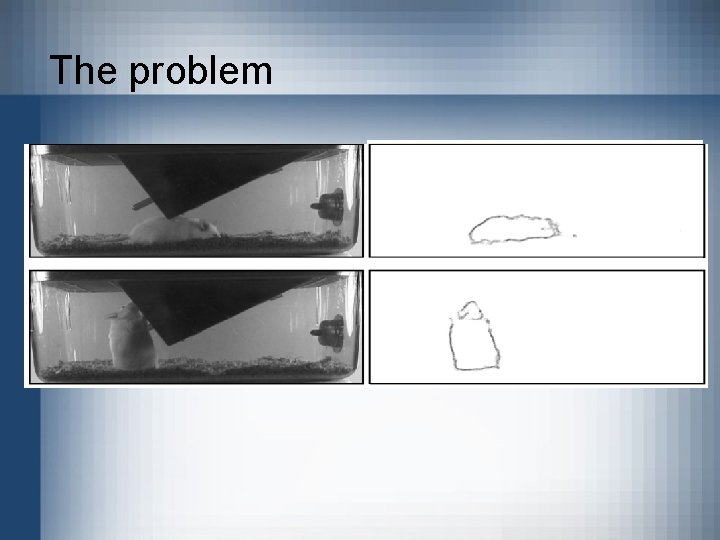The problem 