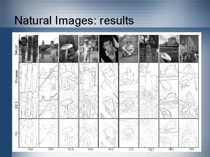 Natural Images: results 