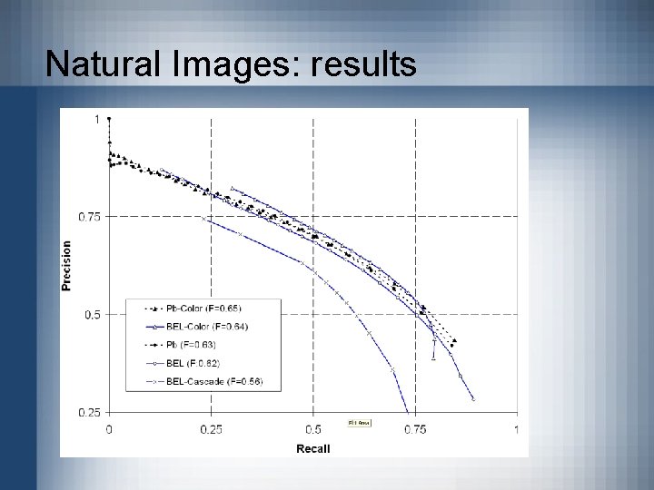 Natural Images: results 