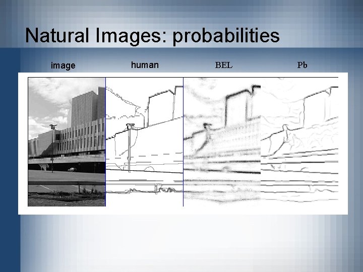 Natural Images: probabilities image human BEL Pb 