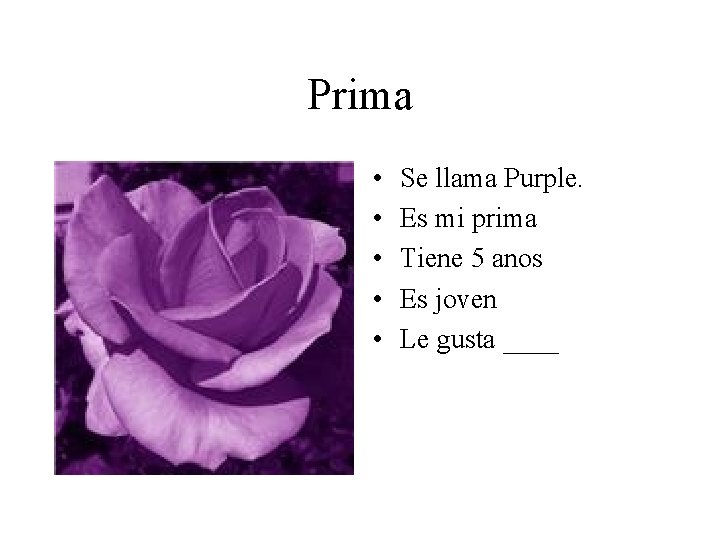 Prima • • • Se llama Purple. Es mi prima Tiene 5 anos Es