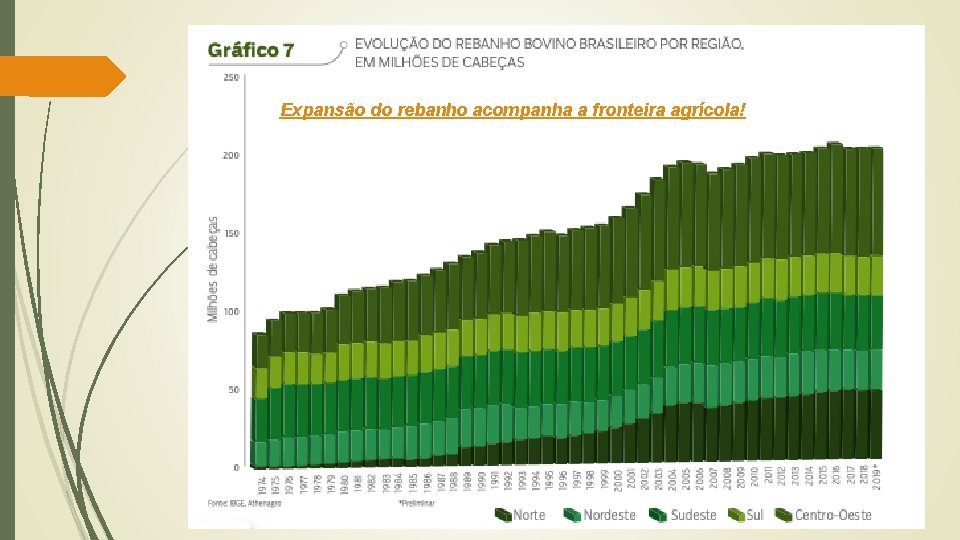 Expansão do rebanho acompanha a fronteira agrícola! 