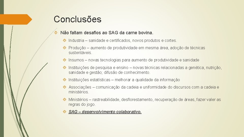 Conclusões Não faltam desafios ao SAG da carne bovina. Industria – sanidade e certificados,