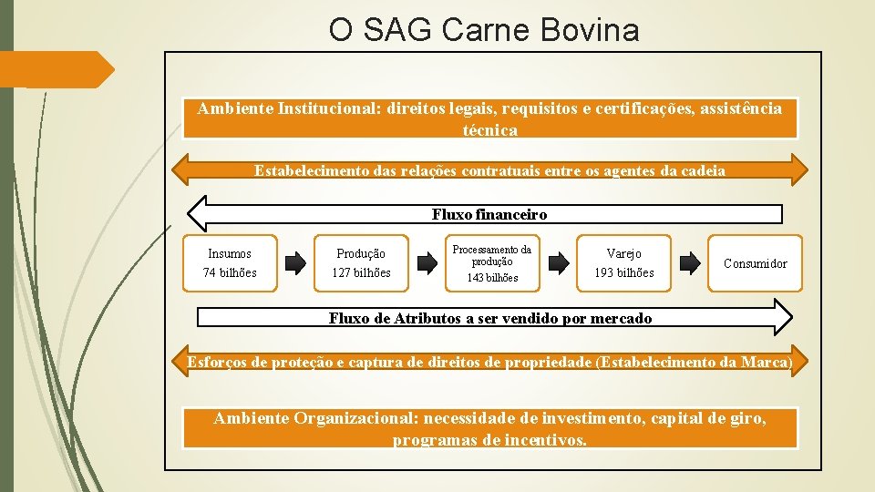 O SAG Carne Bovina Ambiente Institucional: direitos legais, requisitos e certificações, assistência técnica Estabelecimento