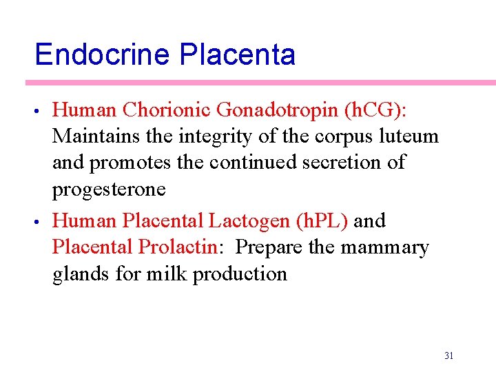 Endocrine Placenta • • Human Chorionic Gonadotropin (h. CG): Maintains the integrity of the