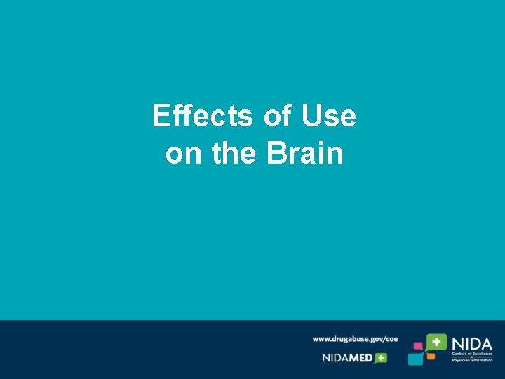 Effects of Use on the Brain 