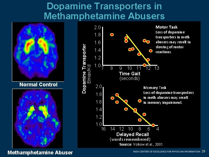 Dopamine Transporters in Methamphetamine Abusers Motor Task 2. 0 Loss of dopamine transporters in