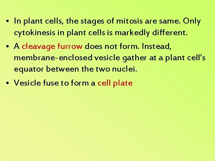  • In plant cells, the stages of mitosis are same. Only cytokinesis in