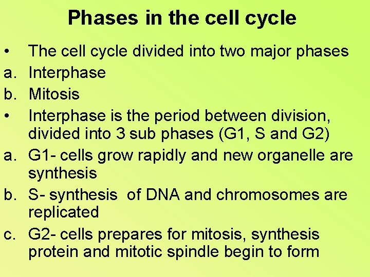 Phases in the cell cycle • a. b. • The cell cycle divided into