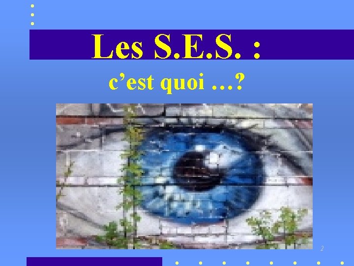 Les S. E. S. : c’est quoi …? 2 