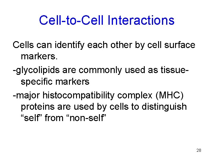 Cell-to-Cell Interactions Cells can identify each other by cell surface markers. -glycolipids are commonly