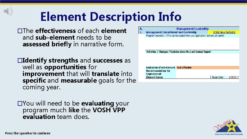 Element Description Info �The effectiveness of each element and sub-element needs to be assessed