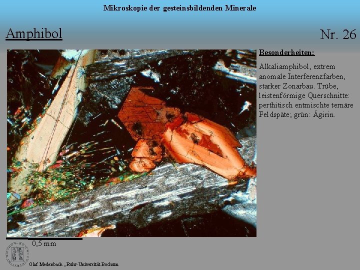 Mikroskopie der gesteinsbildenden Minerale Amphibol Nr. 26 Besonderheiten: Alkaliamphibol, extrem anomale Interferenzfarben, starker Zonarbau.