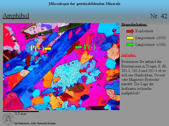 Mikroskopie der gesteinsbildenden Minerale Amphibol Nr. 42 Besonderheiten: Kopfschnitt Längsschnitt ~(010) l'(+) l'(-) Längsschnitt