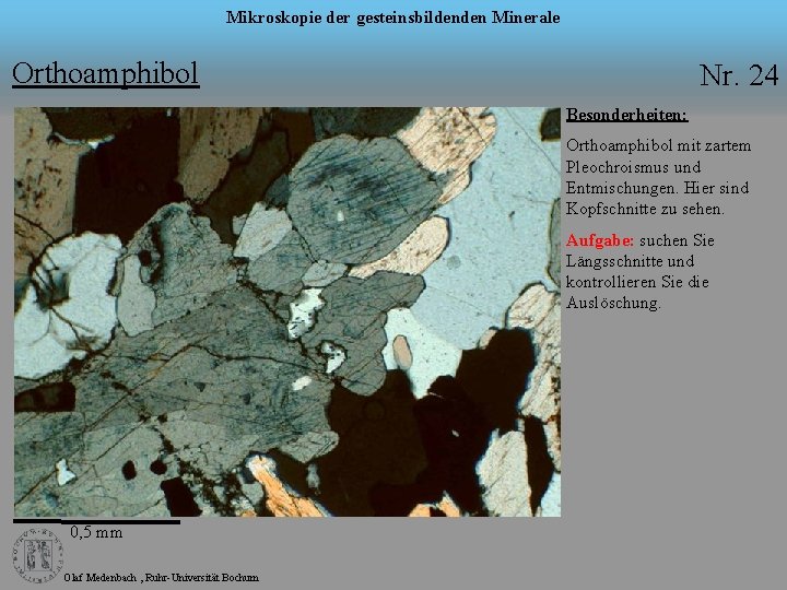 Mikroskopie der gesteinsbildenden Minerale Orthoamphibol Nr. 24 Besonderheiten: Orthoamphibol mit zartem Pleochroismus und Entmischungen.