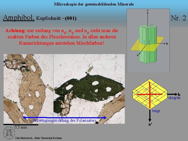 Mikroskopie der gesteinsbildenden Minerale Amphibol, Kopfschnitt ~(001) Nr. 2 Achtung: nur entlang von nx,