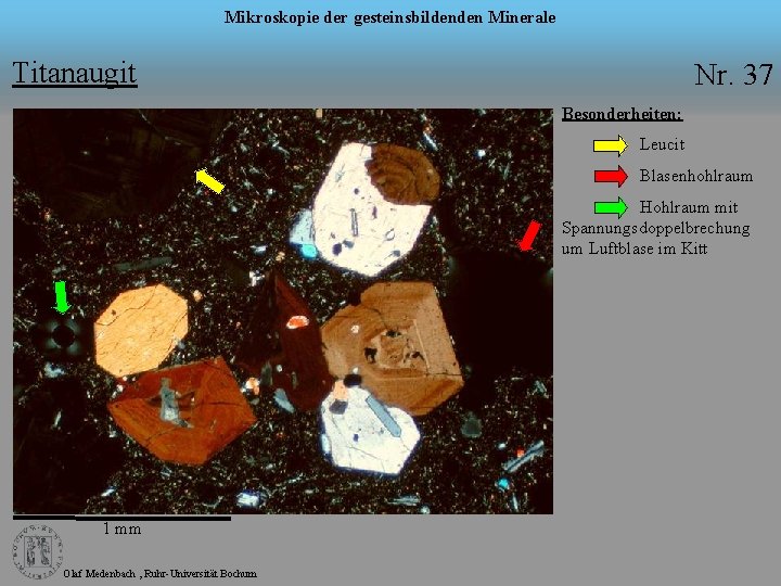 Mikroskopie der gesteinsbildenden Minerale Titanaugit Nr. 37 Besonderheiten: Leucit Blasenhohlraum Hohlraum mit Spannungsdoppelbrechung um