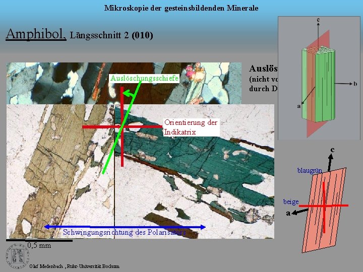 Mikroskopie der gesteinsbildenden Minerale Amphibol, Längsschnitt 2 (010) Nr. 2 Auslöschungsschiefe Auslöschungsstellung (nicht vollständig