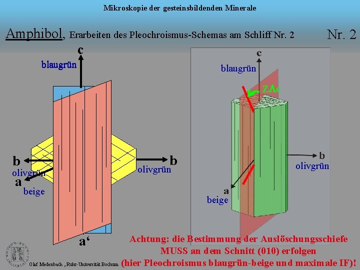 Mikroskopie der gesteinsbildenden Minerale Amphibol, Erarbeiten des Pleochroismus-Schemas am Schliff Nr. 2 c blaugrün