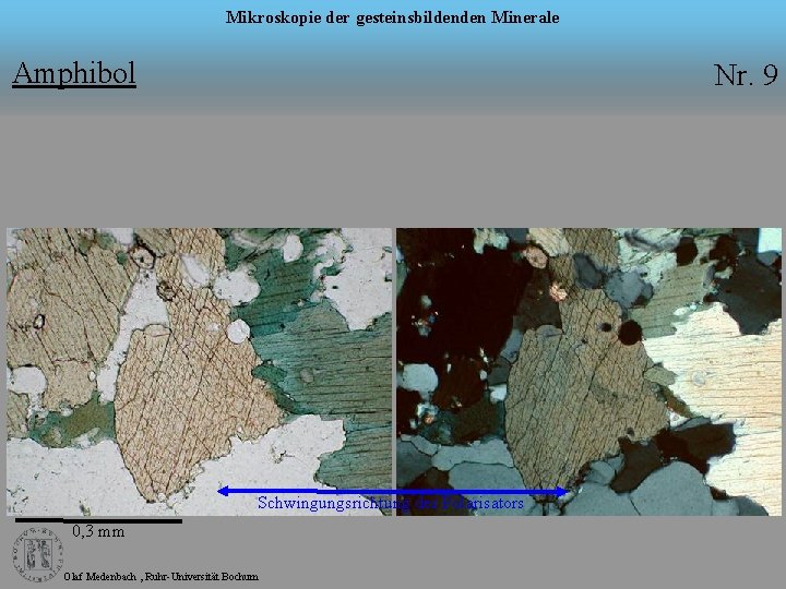 Mikroskopie der gesteinsbildenden Minerale Amphibol Nr. 9 Schwingungsrichtung des Polarisators 0, 3 mm Olaf