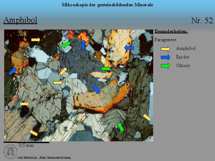 Mikroskopie der gesteinsbildenden Minerale Amphibol Nr. 52 Besonderheiten: Paragenese: Amphibol Epidot Chlorit 0, 5