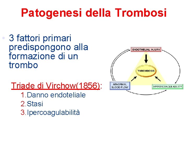 Patogenesi della Trombosi • 3 fattori primari predispongono alla formazione di un trombo Triade