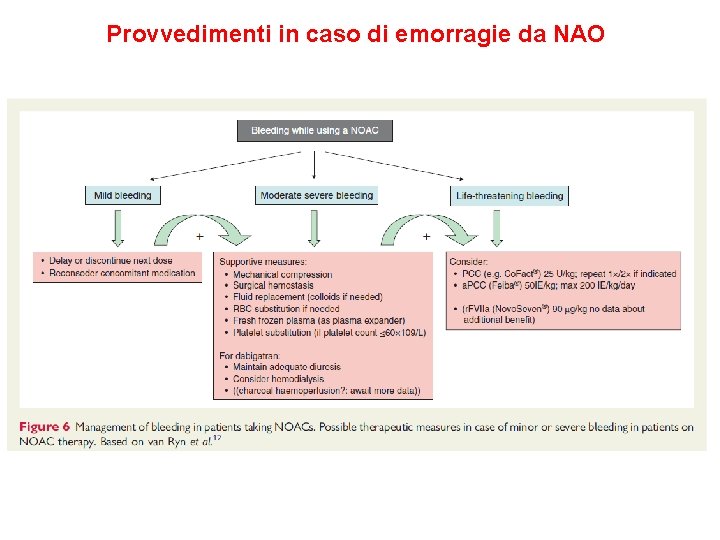 Provvedimenti in caso di emorragie da NAO 