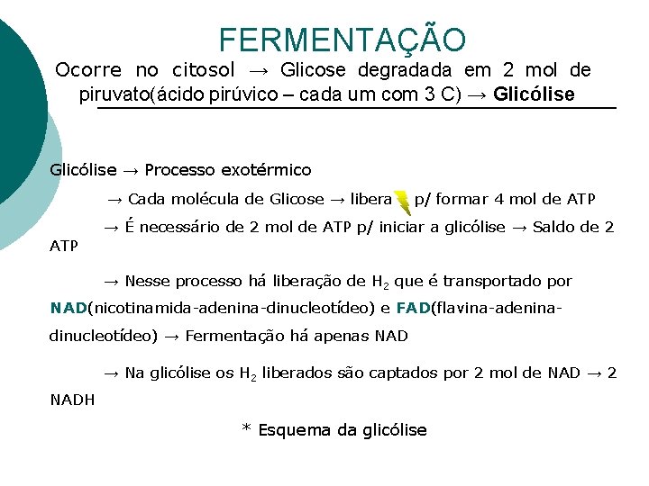 FERMENTAÇÃO Ocorre no citosol → Glicose degradada em 2 mol de piruvato(ácido pirúvico –