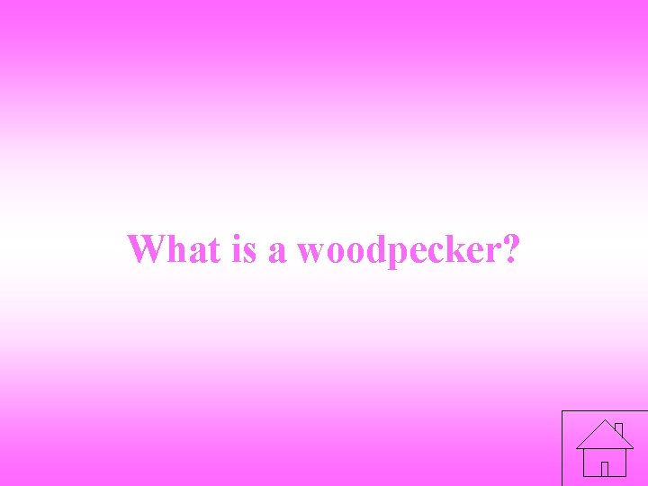 What is a woodpecker? 
