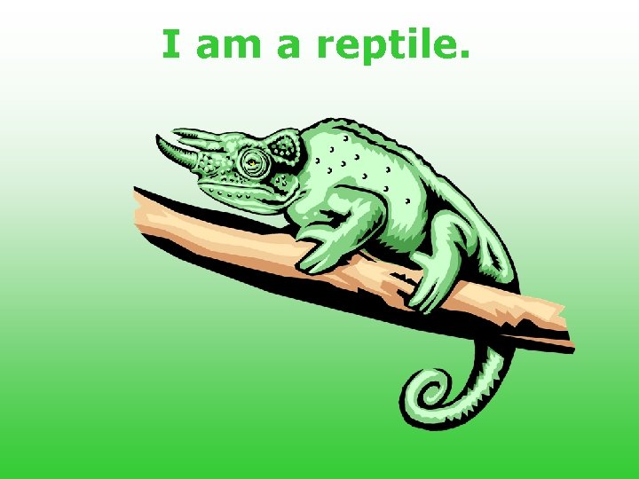 I am a reptile. 