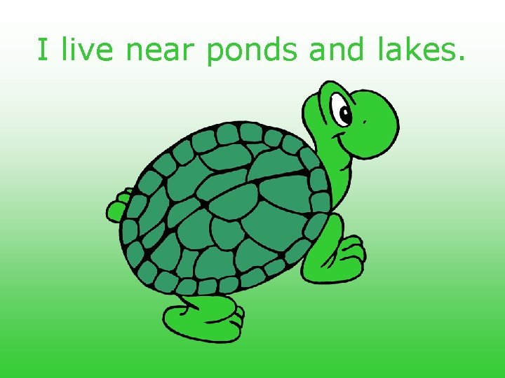 I live near ponds and lakes. 