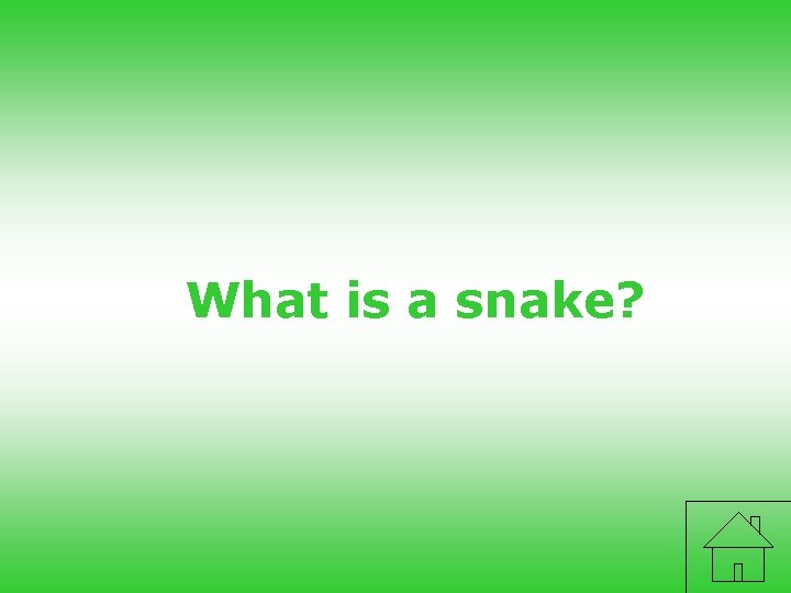 What is a snake? 