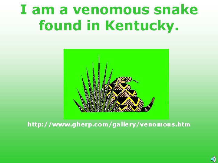 I am a venomous snake found in Kentucky. http: //www. gherp. com/gallery/venomous. htm 