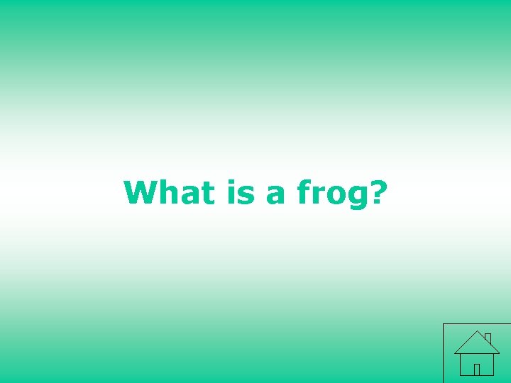 What is a frog? 
