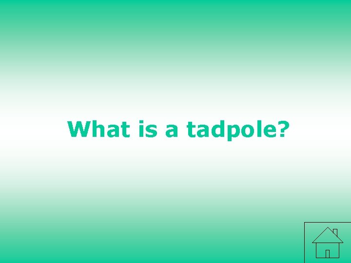 What is a tadpole? 