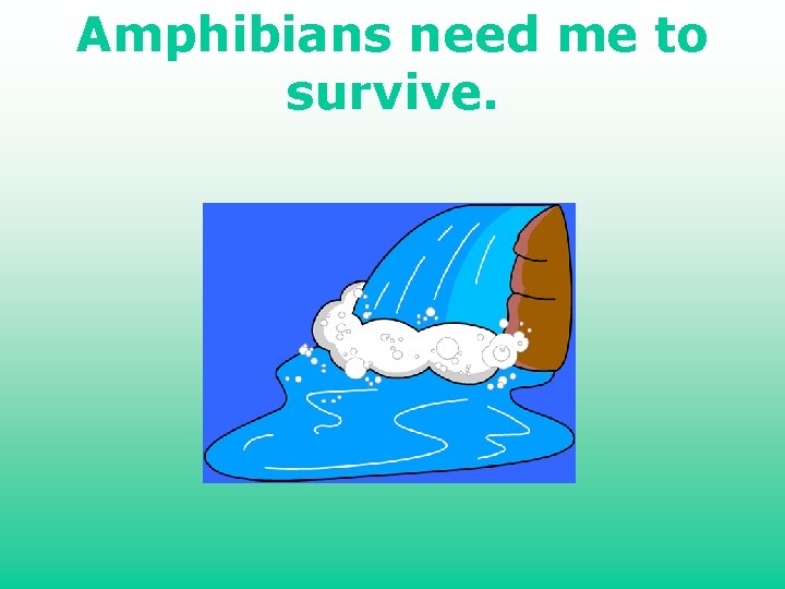 Amphibians need me to survive. 