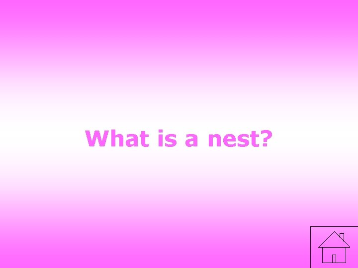 What is a nest? 