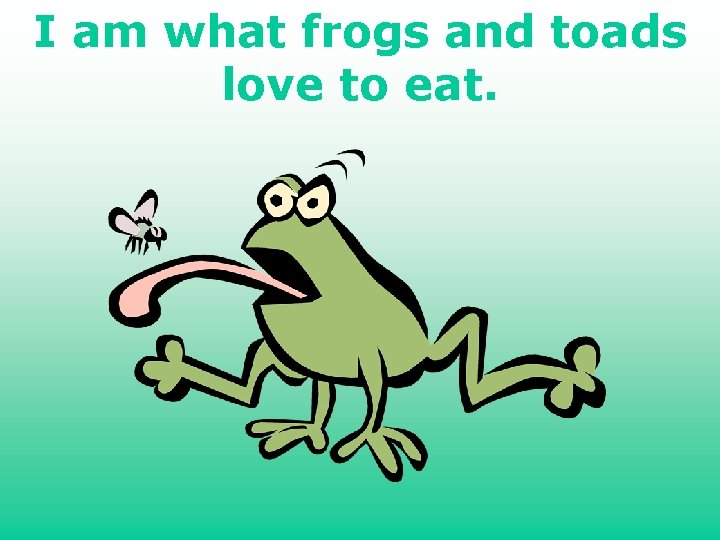 I am what frogs and toads love to eat. 