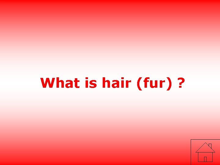 What is hair (fur) ? 