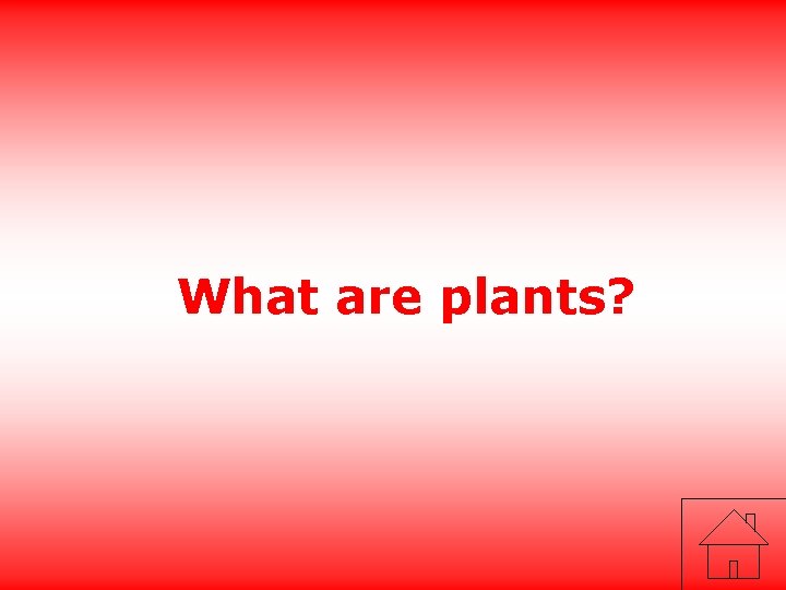 What are plants? 