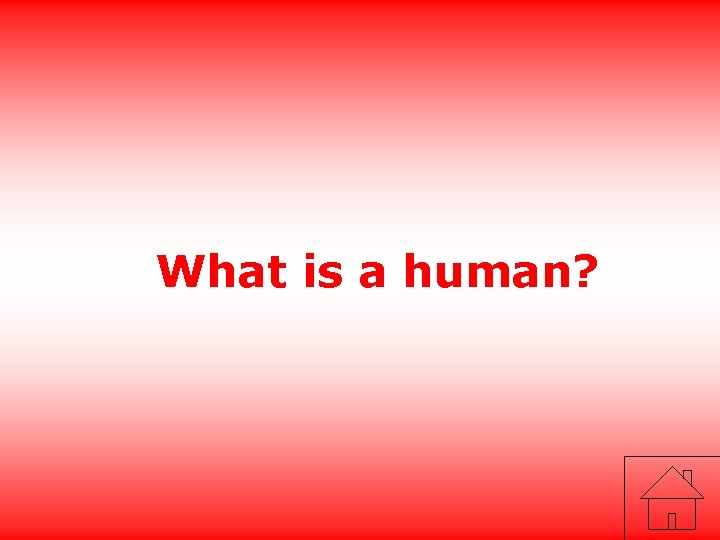 What is a human? 