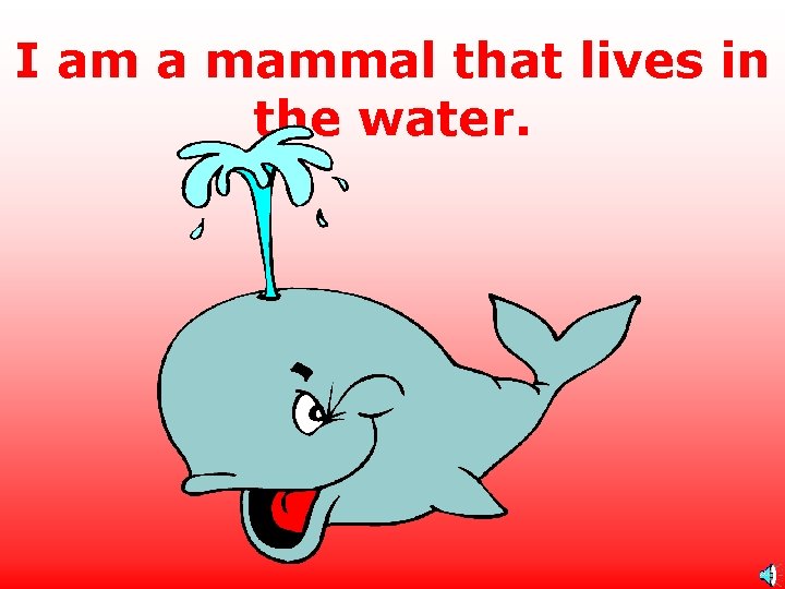 I am a mammal that lives in the water. 